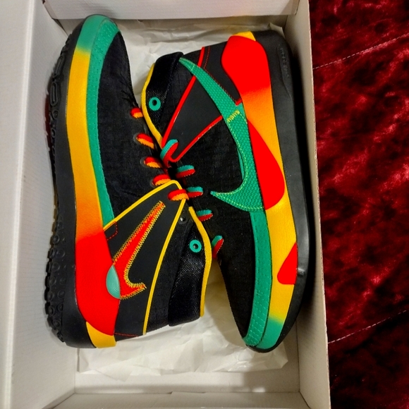 kd 13 rasta